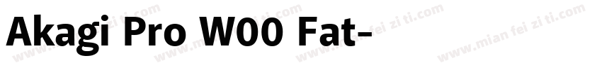 Akagi Pro W00 Fat字体转换